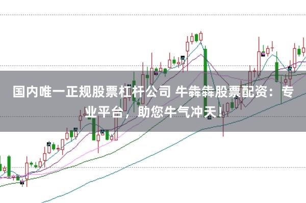 国内唯一正规股票杠杆公司 牛犇犇股票配资：专业平台，助您牛气冲天！