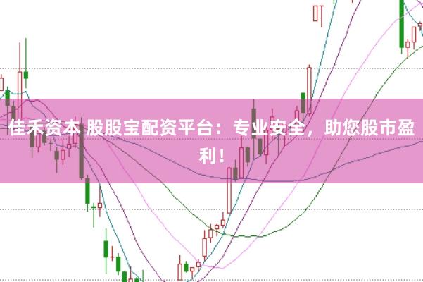 佳禾资本 股股宝配资平台：专业安全，助您股市盈利！