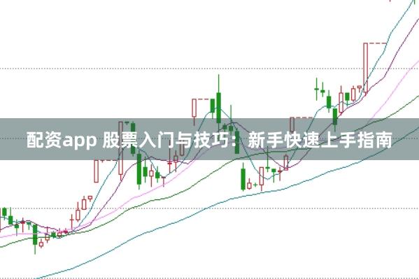 配资app 股票入门与技巧:新手快速上手指南