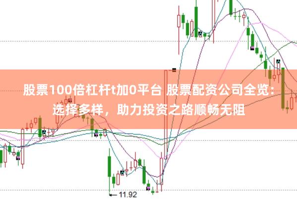 股票100倍杠杆t加0平台 股票配资公司全览：选择多样，助力投资之路顺畅无阻