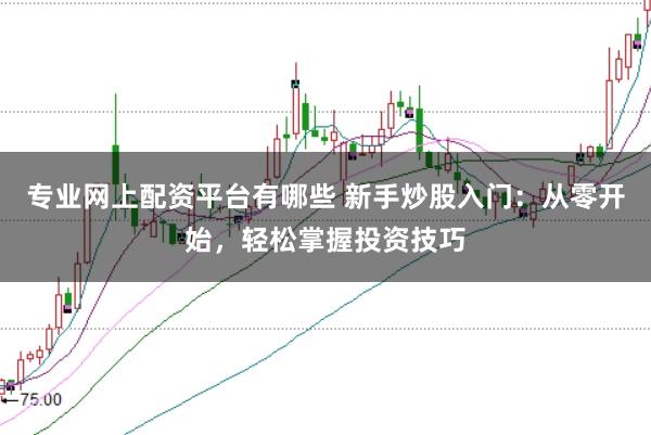 专业网上配资平台有哪些 新手炒股入门:从零开始,轻松掌握投资技巧